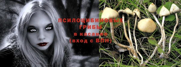 мяу мяу мука Лабытнанги